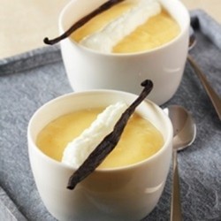 Perfumer's Apprentice Flavors - Vanilla Custard