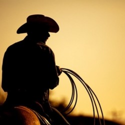 Perfumer's Apprentice Flavors - Western