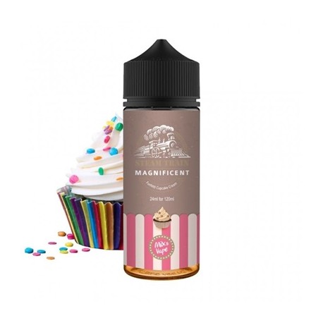 Steam Train Magnificent 30/120ml